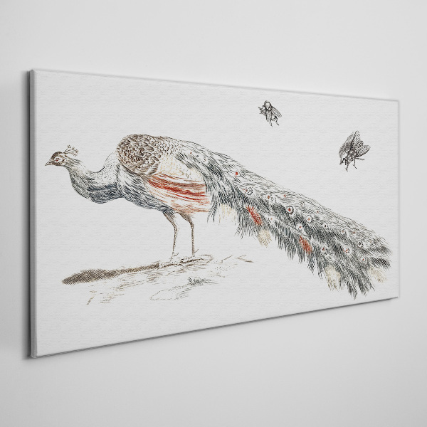 Foto auf leinwand Pfau mit Fliegen