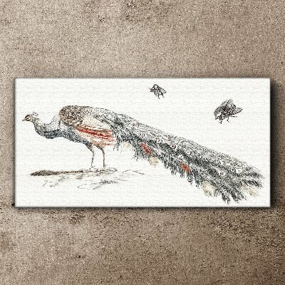 Foto auf leinwand Pfau mit Fliegen