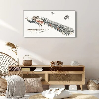 Foto auf leinwand Pfau mit Fliegen