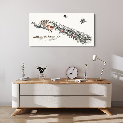 Foto auf leinwand Pfau mit Fliegen