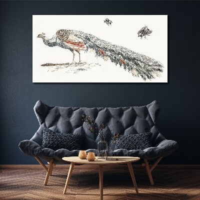 Foto auf leinwand Pfau mit Fliegen