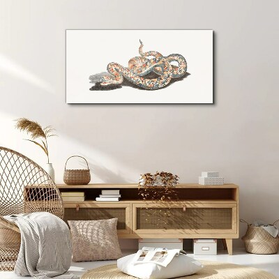 Foto auf leinwand Schlangenmuster mit bunten Details