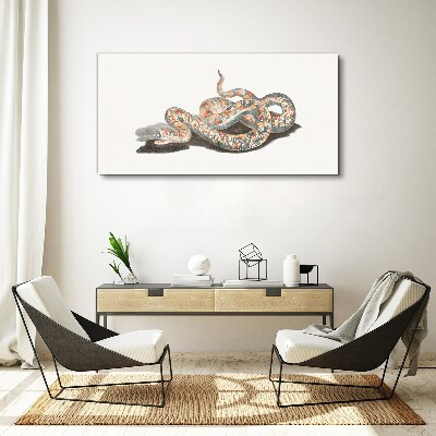 Foto auf leinwand Schlangenmuster mit bunten Details
