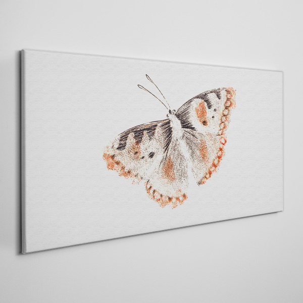 Bild auf leinwand Schmetterling auf weißem Hintergrund