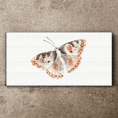 Bild auf leinwand Schmetterling auf weißem Hintergrund