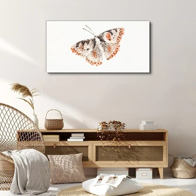 Bild auf leinwand Schmetterling auf weißem Hintergrund