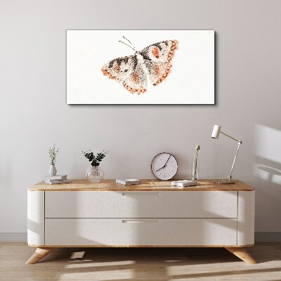 Bild auf leinwand Schmetterling auf weißem Hintergrund