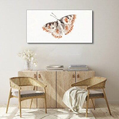 Bild auf leinwand Schmetterling auf weißem Hintergrund