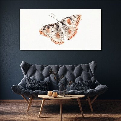 Bild auf leinwand Schmetterling auf weißem Hintergrund