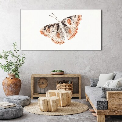 Bild auf leinwand Schmetterling auf weißem Hintergrund