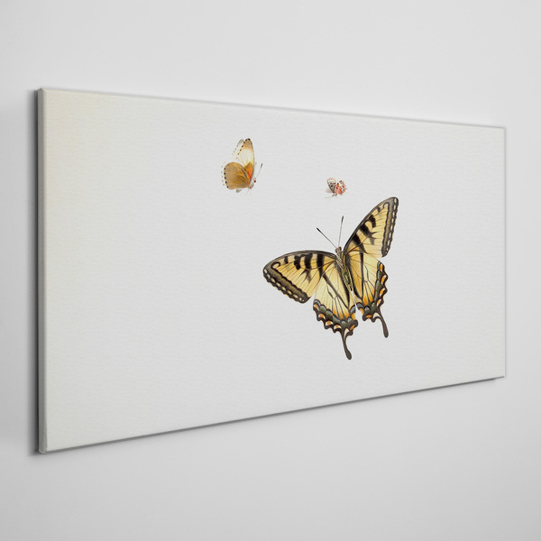 Bild auf leinwand Schmetterlinge in zarter Harmonie