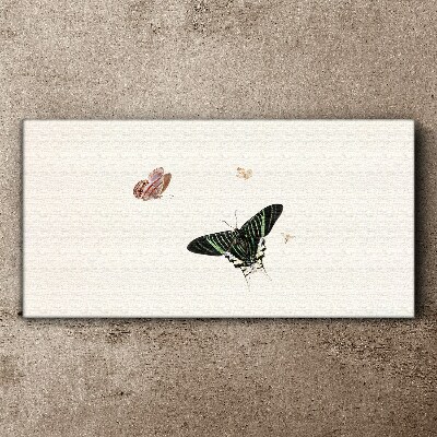 Leinwandbild Moderner Käfer-Insekten-Schmetterling