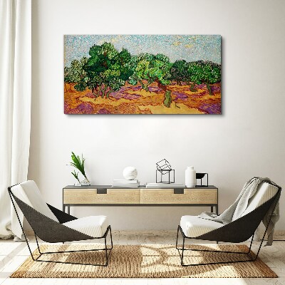 Foto auf leinwand Oliven in der Sonne