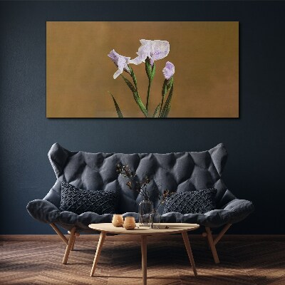 Bild auf leinwand Irisblüten auf braunem Hintergrund