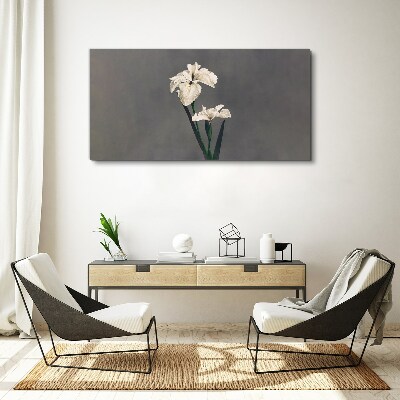 Foto auf leinwand Weiße Schwertlilien auf grauem Hintergrund