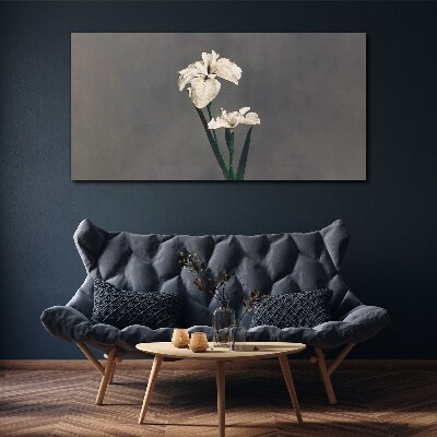 Foto auf leinwand Weiße Schwertlilien auf grauem Hintergrund