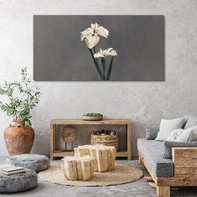 Foto auf leinwand Weiße Schwertlilien auf grauem Hintergrund