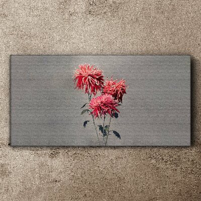 Foto auf leinwand Rosa Blüten auf grauem Hintergrund