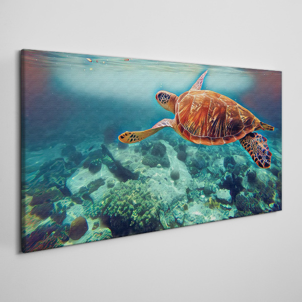 Foto auf leinwand Schildkröte in ruhigen Gewässern
