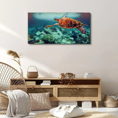 Foto auf leinwand Schildkröte in ruhigen Gewässern