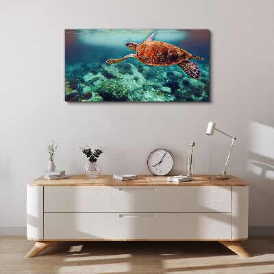 Foto auf leinwand Schildkröte in ruhigen Gewässern