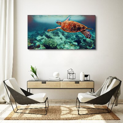 Foto auf leinwand Schildkröte in ruhigen Gewässern