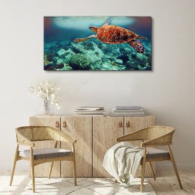 Foto auf leinwand Schildkröte in ruhigen Gewässern