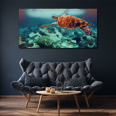 Foto auf leinwand Schildkröte in ruhigen Gewässern