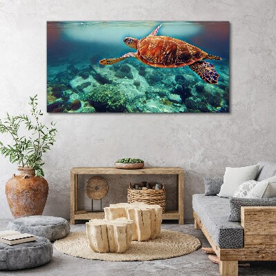 Foto auf leinwand Schildkröte in ruhigen Gewässern
