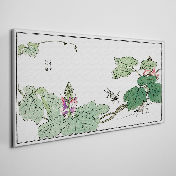 Foto auf leinwand Blumen und Insekten im Einklang