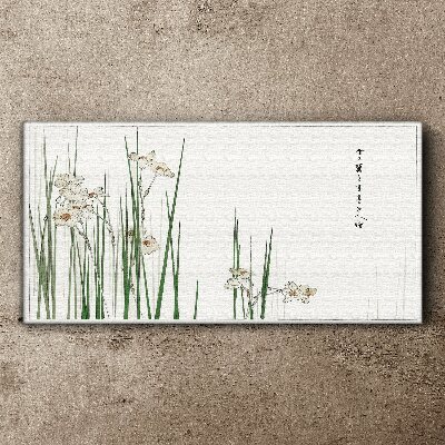 Foto auf leinwand Blumen im Gras