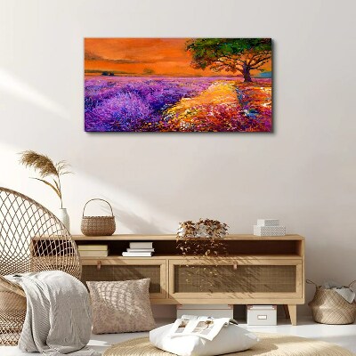 Foto auf leinwand Lavendelfelder im Sonnenuntergang
