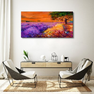 Foto auf leinwand Lavendelfelder im Sonnenuntergang