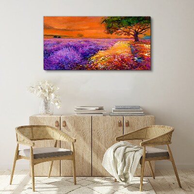 Foto auf leinwand Lavendelfelder im Sonnenuntergang