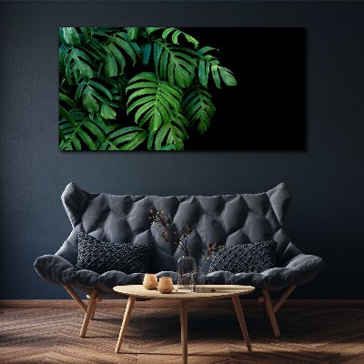 Foto auf leinwand Grüne Blätter auf schwarzem Hintergrund