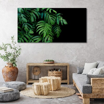 Foto auf leinwand Grüne Blätter auf schwarzem Hintergrund