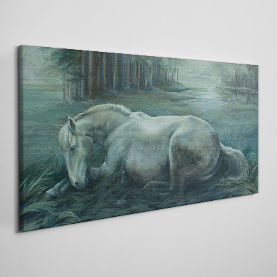 Bild auf leinwand Ein ruhiges Pferd in einer Waldlandschaft