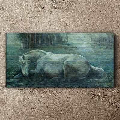 Bild auf leinwand Ein ruhiges Pferd in einer Waldlandschaft
