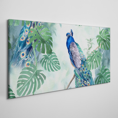 Foto auf leinwand Pfau im tropischen Dschungel
