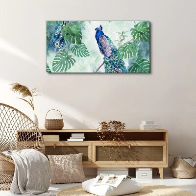 Foto auf leinwand Pfau im tropischen Dschungel