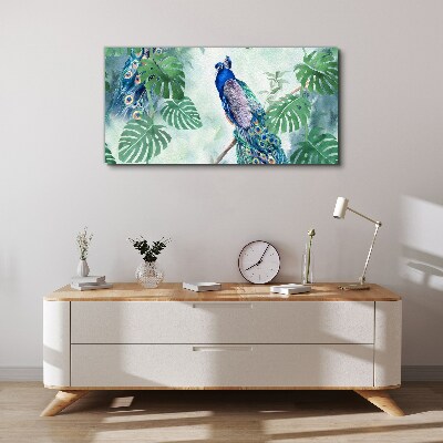 Foto auf leinwand Pfau im tropischen Dschungel