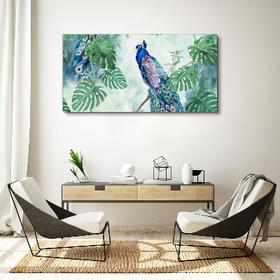 Foto auf leinwand Pfau im tropischen Dschungel