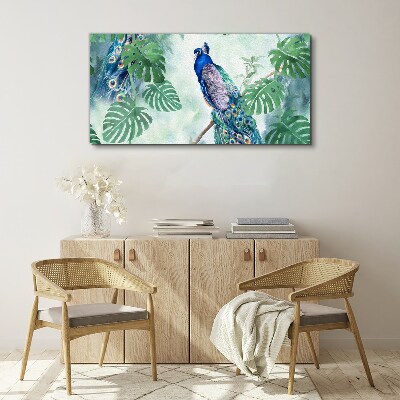 Foto auf leinwand Pfau im tropischen Dschungel