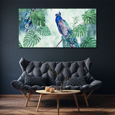 Foto auf leinwand Pfau im tropischen Dschungel