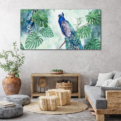 Foto auf leinwand Pfau im tropischen Dschungel