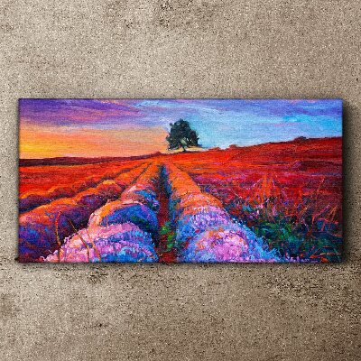 Foto auf leinwand Landschaft mit Lavendelfeldern bei Sonnenuntergang
