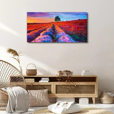 Foto auf leinwand Landschaft mit Lavendelfeldern bei Sonnenuntergang