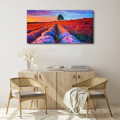 Foto auf leinwand Landschaft mit Lavendelfeldern bei Sonnenuntergang