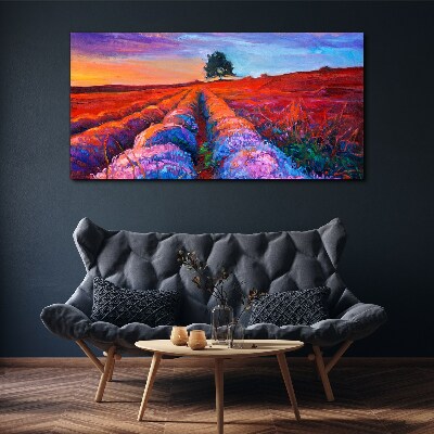 Foto auf leinwand Landschaft mit Lavendelfeldern bei Sonnenuntergang