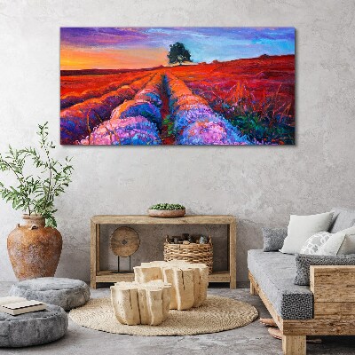 Foto auf leinwand Landschaft mit Lavendelfeldern bei Sonnenuntergang